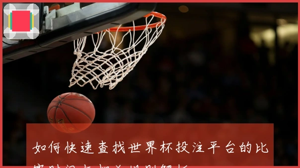 如何快速查找世界杯投注平台的比赛时间与相关规则解析